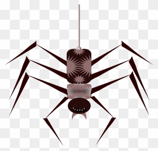 Arachnid Clipart Small Spider - Animated Spider Png Gif Transparent Png