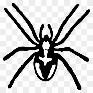 Spider Black And White Spider Clipart Black And White - Spider Clip Art Black And White - Png Download