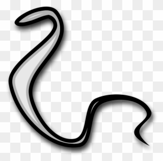 Serpent Clipart - Snakes - Png Download