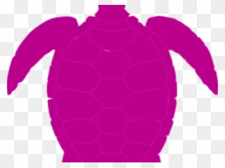 Sea Turtle Clipart Clip Art - Turtle Clipart Png Black Transparent Png