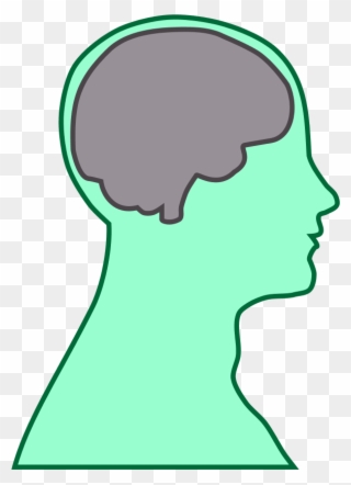 Brain Human Man - Thalamus And Frontal Lobe Clipart