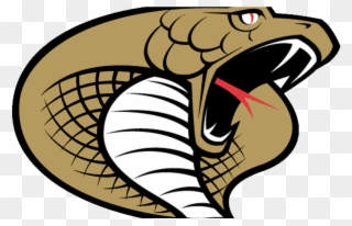 Immagini Cobra Clipart Best - Twiggs County High School Logo - Png Download