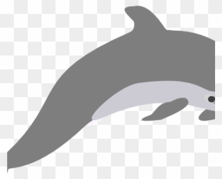 Dolphin Clipart Outline Grey Clip Art At Clker Vector - Dolphin Jump Clipart Png Transparent Png