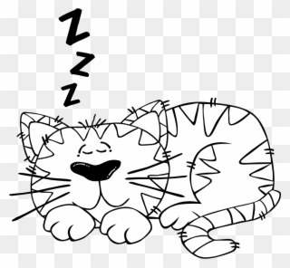 Black And White Clipart Of Cat - Sleeping Cartoon Black And White - Png Download