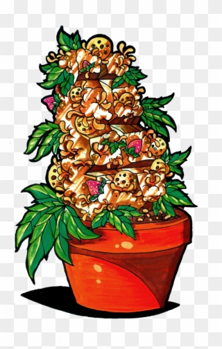 Llega El Dia 420 Y Te Regalamos Semillas De Choco Cookies - Christmas Tree Clipart