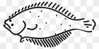 Greenland Halibut Clipart