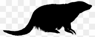 Mongoose Black Silhouette Clipart