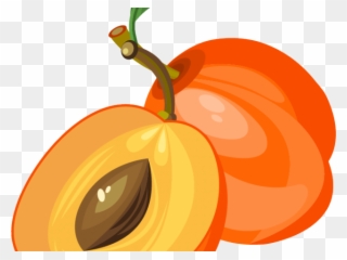 Peach Clipart Apricot - Png Download