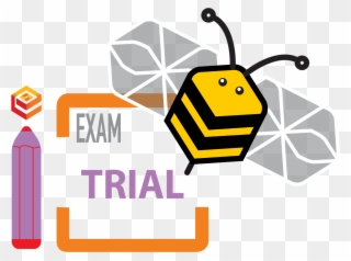 In This Way, Students Can Feel The Actual Examination Clipart