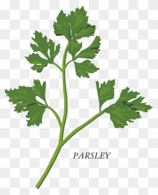 Image Royalty Free Library Herb Parsley Clip Art Transprent - Png Download