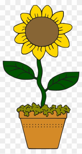 Victorian Sunflower Clipart Png - Sun Flower Cartoon Png Transparent Png