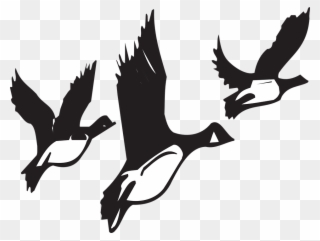 Migrating Birds Clipart - Birds Migrating Black And White - Png Download