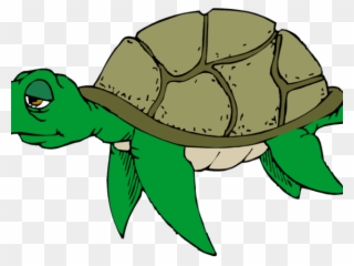 Sea Turtle Clipart Cute - Cartoon Sea Turtle - Png Download