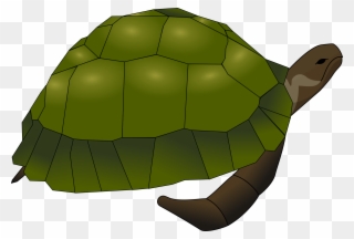 Green Sea Turtle Reptile Turtle Shell - Saint Kateri Tekakwitha Turtle Clipart