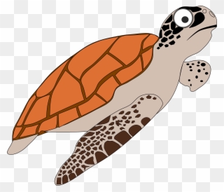 Sea Turtles - Clipart - Loggerhead Sea Turtle Clipart - Png Download
