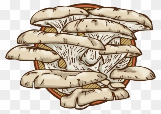 Mb Design Mahala Gourmet Mushrooms - Logo Hongos Comestibles Clipart
