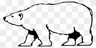 Eisbär Clipart - Karlsruhe Zoo - Png Download