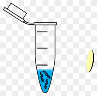 Tube Clipart Water Testing - Eppendorf Tube With Dna - Png Download