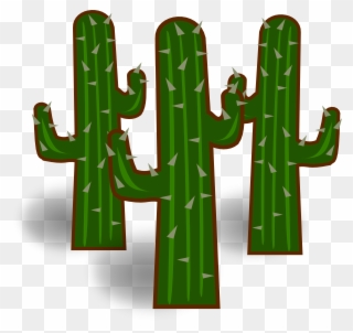 Cactus Clipart San Pedro - Transparent Clipart Cactus Image Png