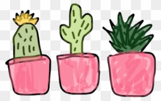 Succulents Green Plants Cute Free Stickers Freetoedit - Cute Transparent Plant Clipart