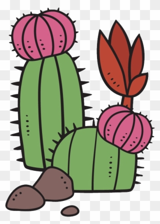 Succulent Plant Cartoon Cactaceae Clipart