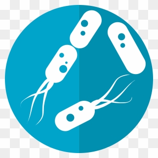 Vector Bacteria Water Clipart - Bacteria Icon - Png Download