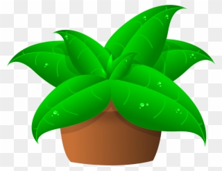 Plants In Pot - Green Plant Clipart - Png Download