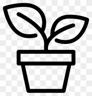 Potted Plants Clipart Grows - Vector Graphics - Png Download