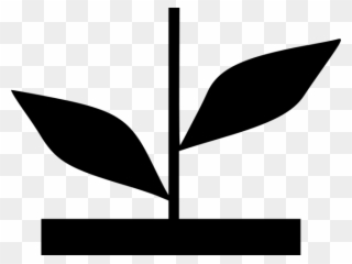 Potted Plants Clipart 5 Flower - Png Download