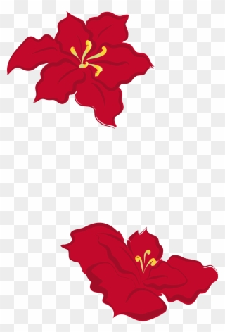 Designed For Decoration With Poinsettia Leaf Flowers - Design Clipart