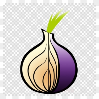 Tor Browser Icon Png Clipart Tor Bowser Transparent Png