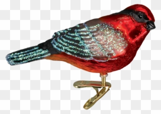 Old Word Christmas Vermillion Flycatcher Bird Glass Clipart