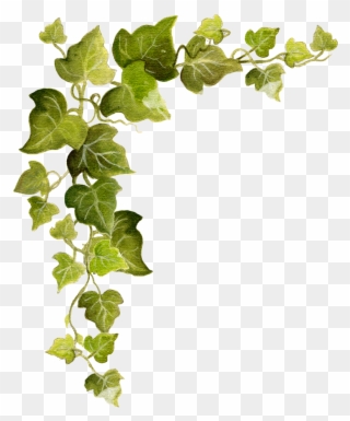 Ivy Snip Flickr Photo Sharing Pumpkin Corner Border Clipart