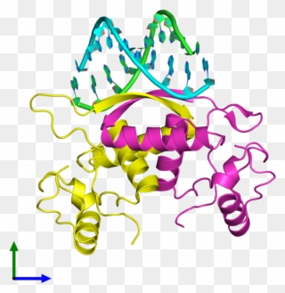 Pdb 1mjm Coloured By Chain And Viewed From The Front Clipart