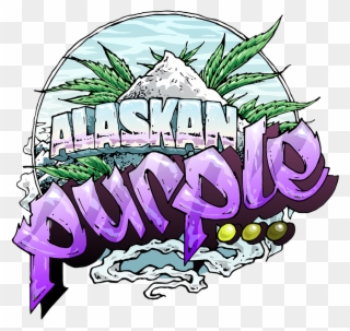 Get A Discount On Alaskan Purple Cannabis Seeds With Clipart