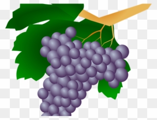 Grapes Clipart Uva - Png Download