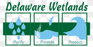 Delaware Wetland Management & Assessment Program Clipart