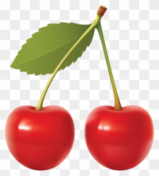 5fbdb6f5e3c3 Cherry Fruit, Cherry Tree, Sweet Cherries, Clipart