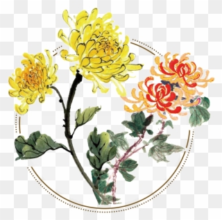 Fresh Two Tone Hand Painted Chrysanthemum Decorative Clipart