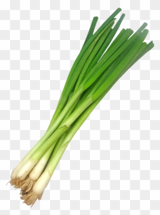 Leek Png Clipart