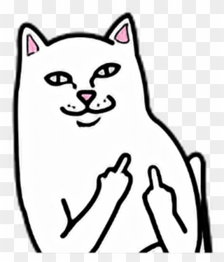 Cat White Fuck You Off Fuckyou Fuckoff Middle Finger Clipart