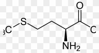 L-methionine Market Clipart