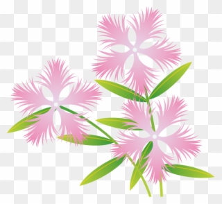 秋の花1 08 なでしこイラスト Clipart Pinclipart