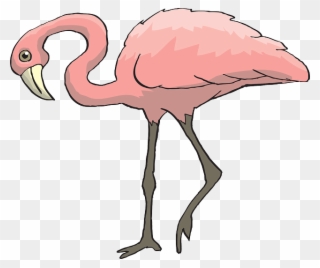 Curious Pink, Bird, Flamingo, Long, Neck, Animal, Beak, Clipart