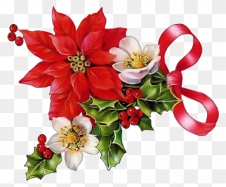 Glansbilleder - Plaatjes - Christrosen - Christmas - Vintage Poinsettia Clip Art - Png Download