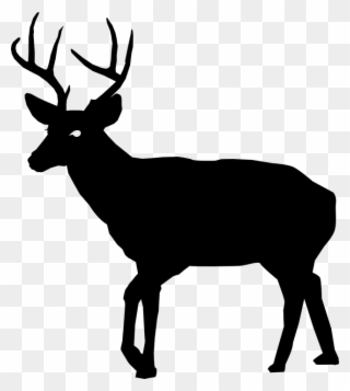 White-tailed Deer Art - Deer Silhouette Free Clipart