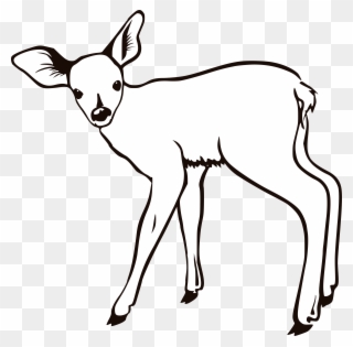 Deer Clipart Fawn - Doe Coloring Page - Png Download
