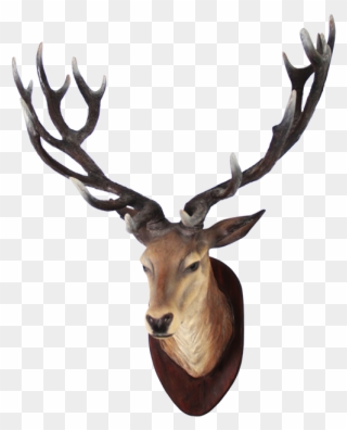 Clipart Png Deer Best - Deer Head Png Transparent Png