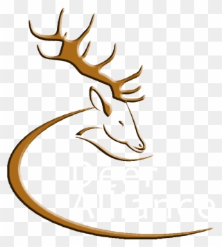 Deer Alliance - Irish Deer Logo Clipart
