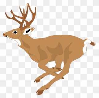 Deer Clipart Free At - Deer Antlers Side View - Png Download